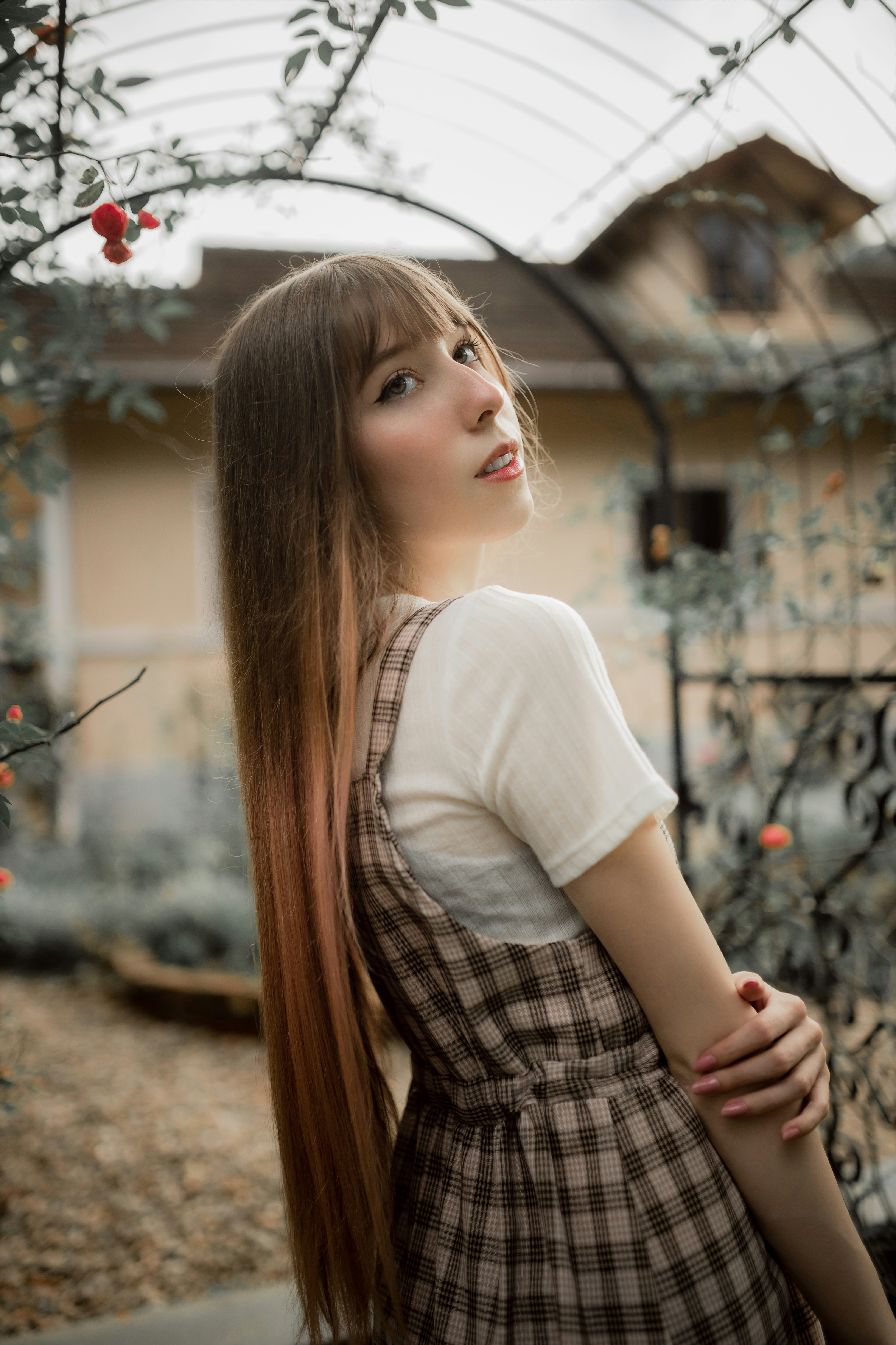 Photo by alexandermassph