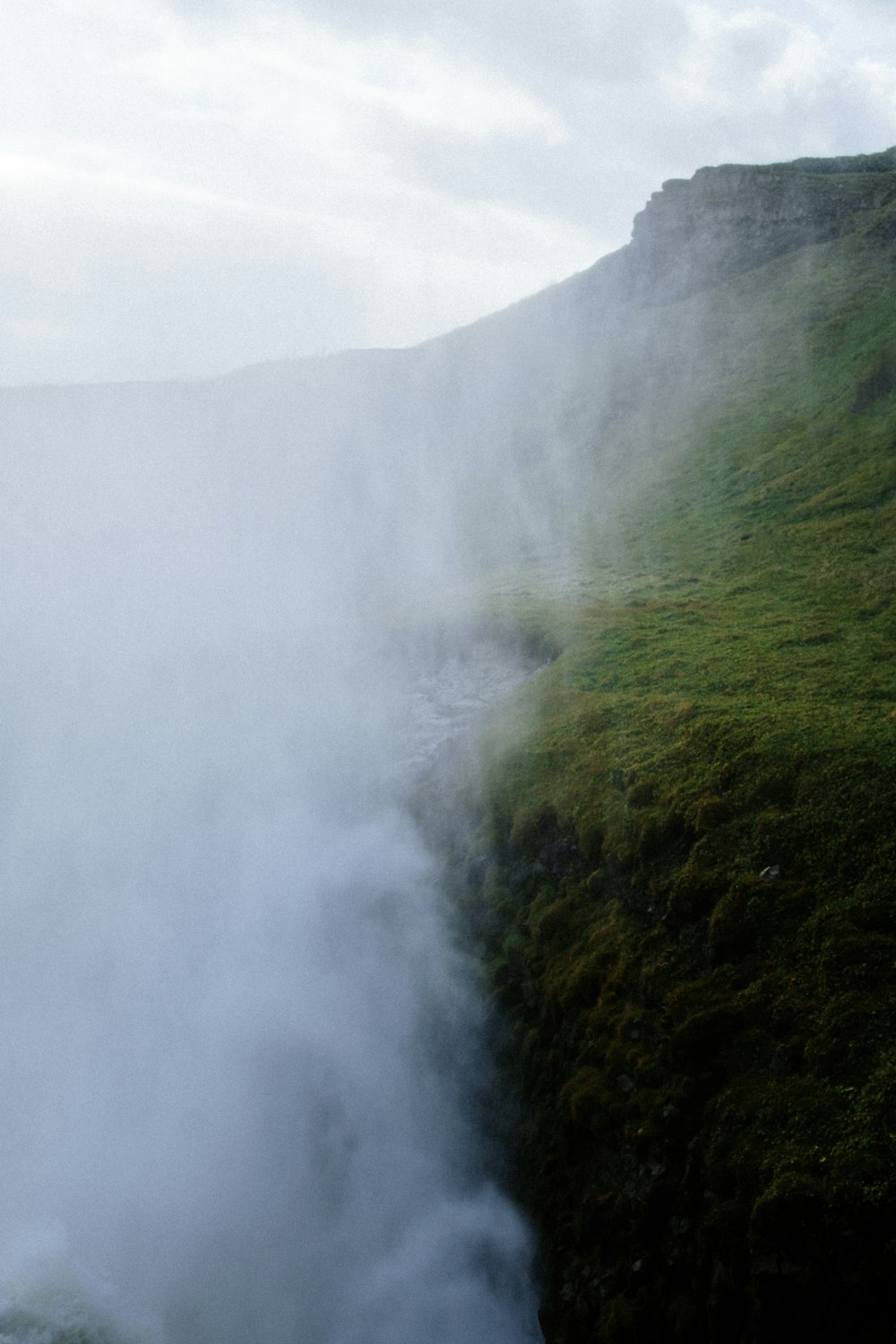 a man standing on top of a lush green hillside