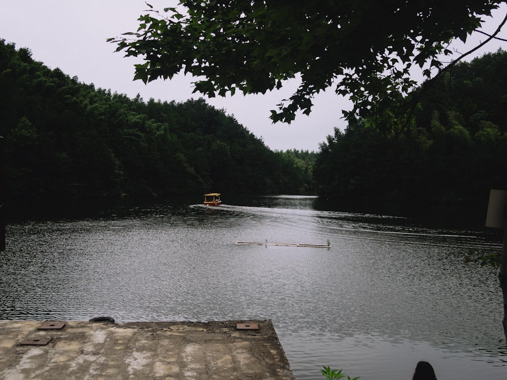 a boat traveling down a river next to a forest