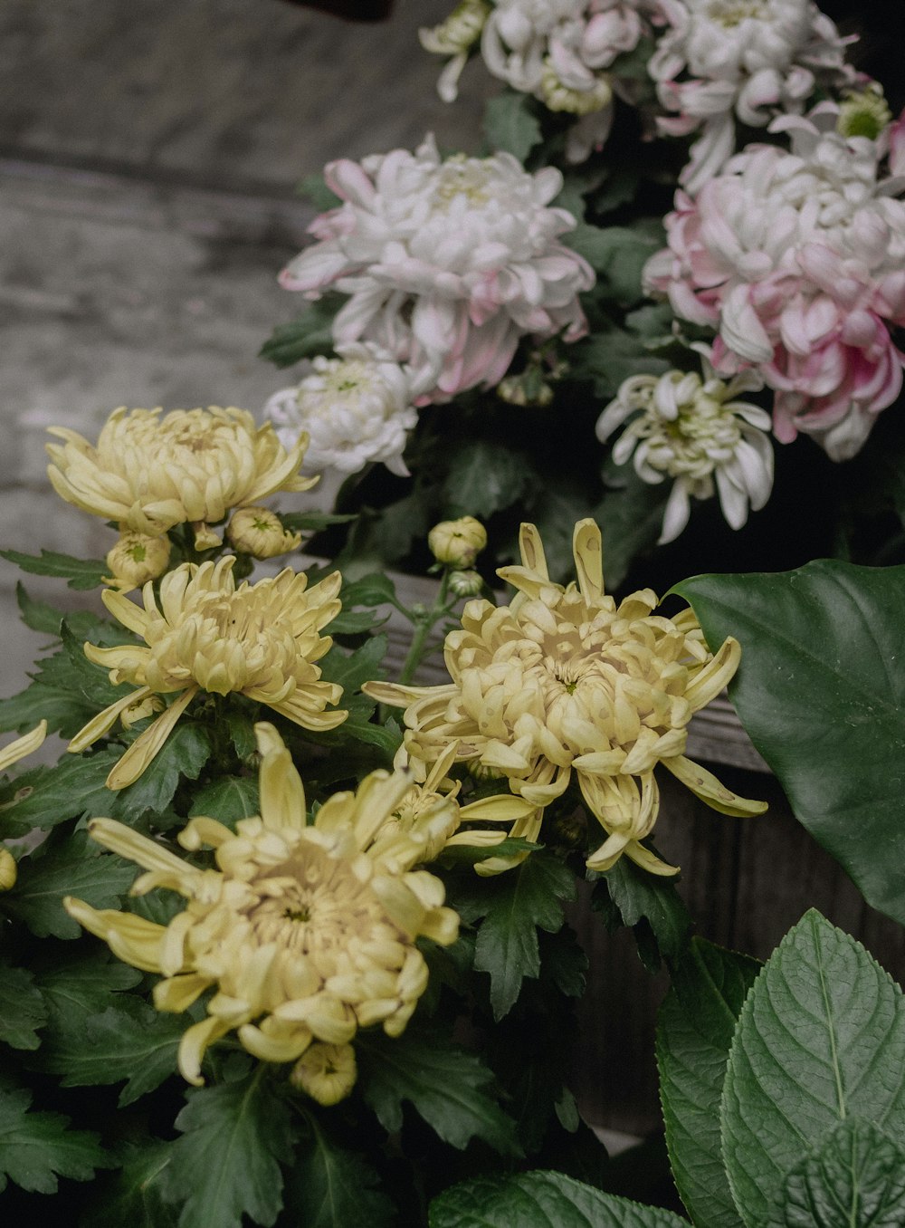 a bunch of flowers that are sitting on a table