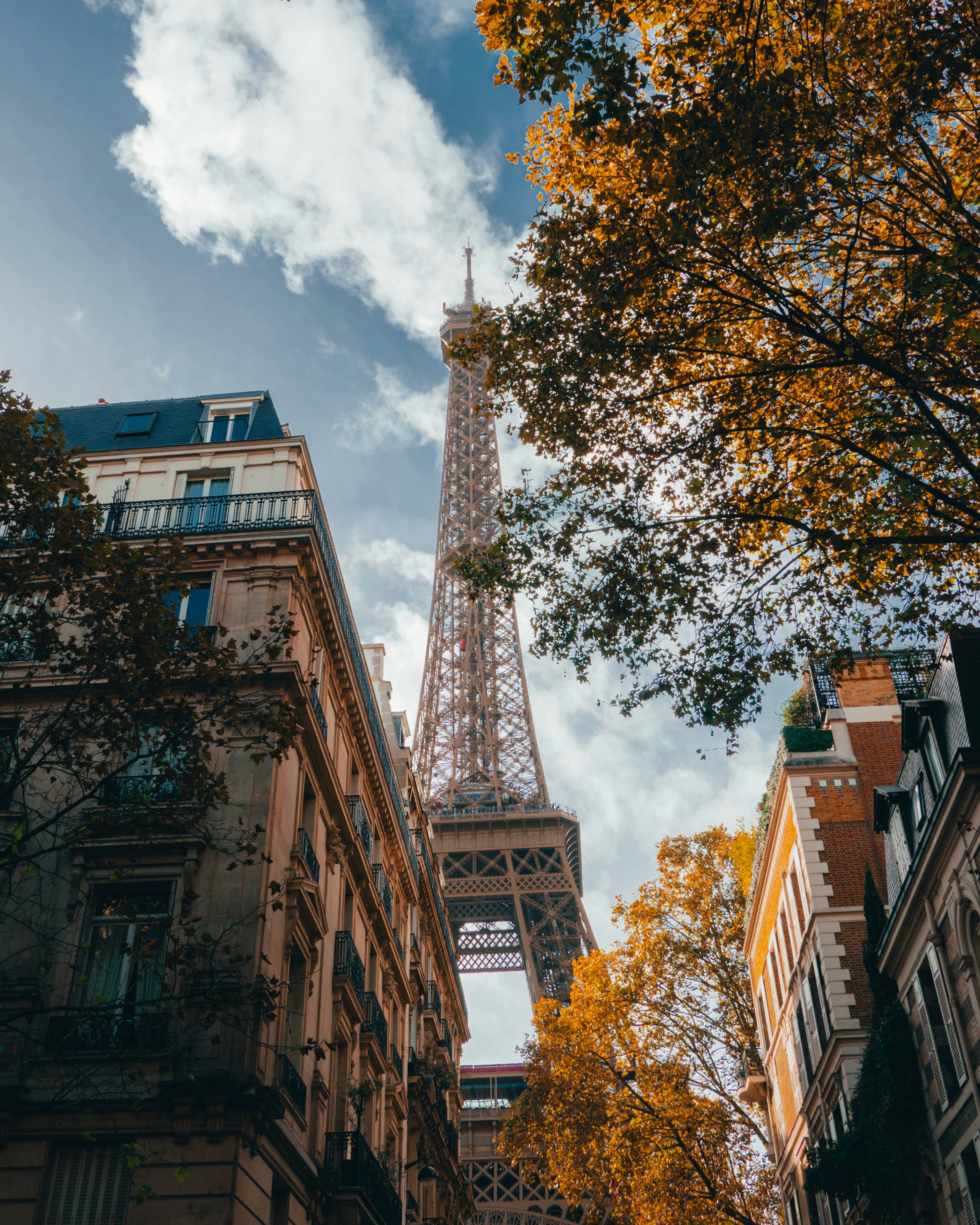 Photo by kingkonggeorge