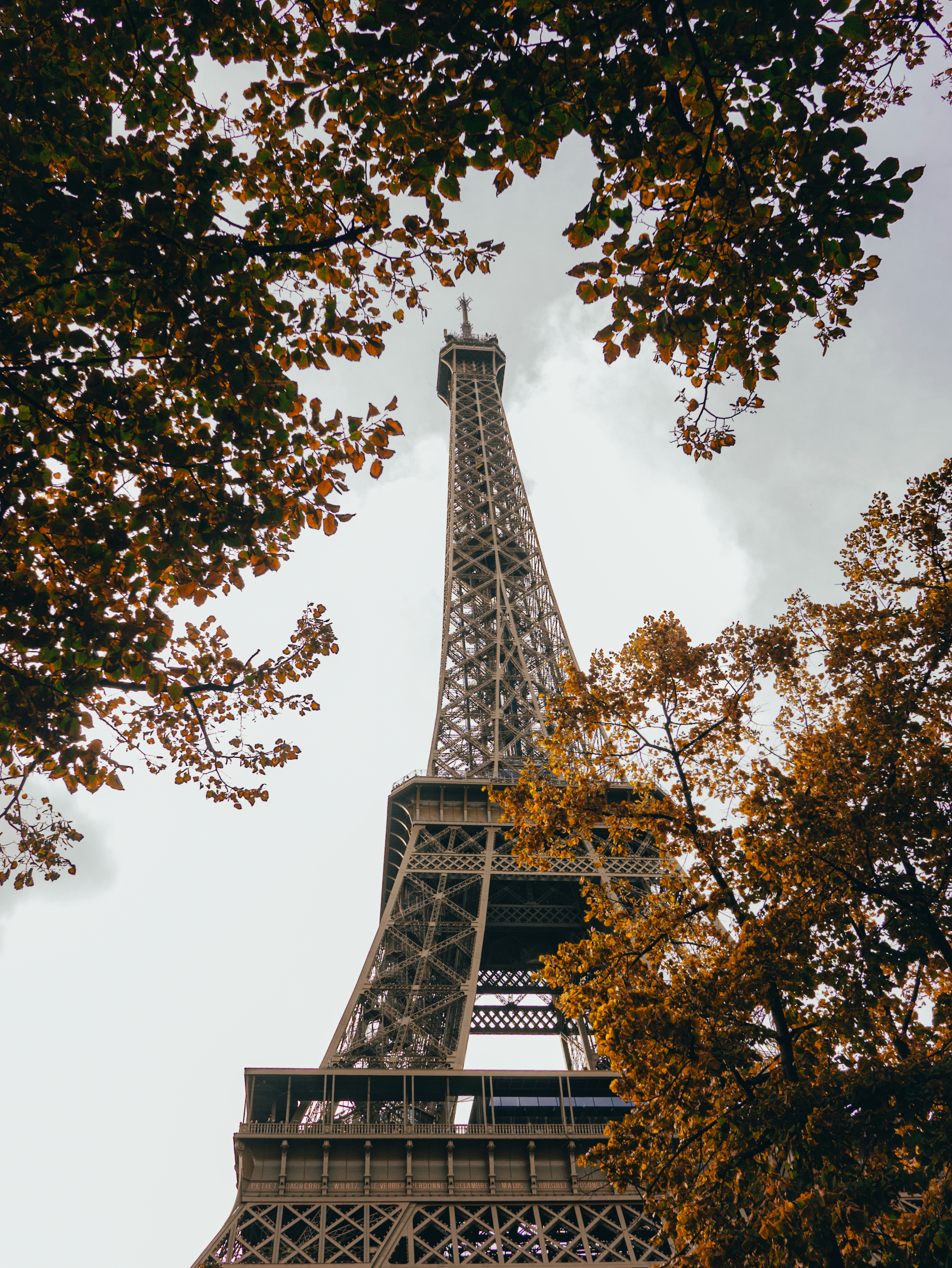 Photo by kingkonggeorge