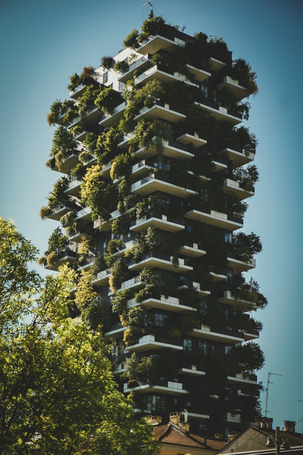 a tall building with a bunch of plants growing on it