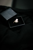A collection of pearl rings showcased in a stylish box.