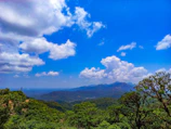 Scenic view of the lush green landscape from the blue zone where the honey is harvested.