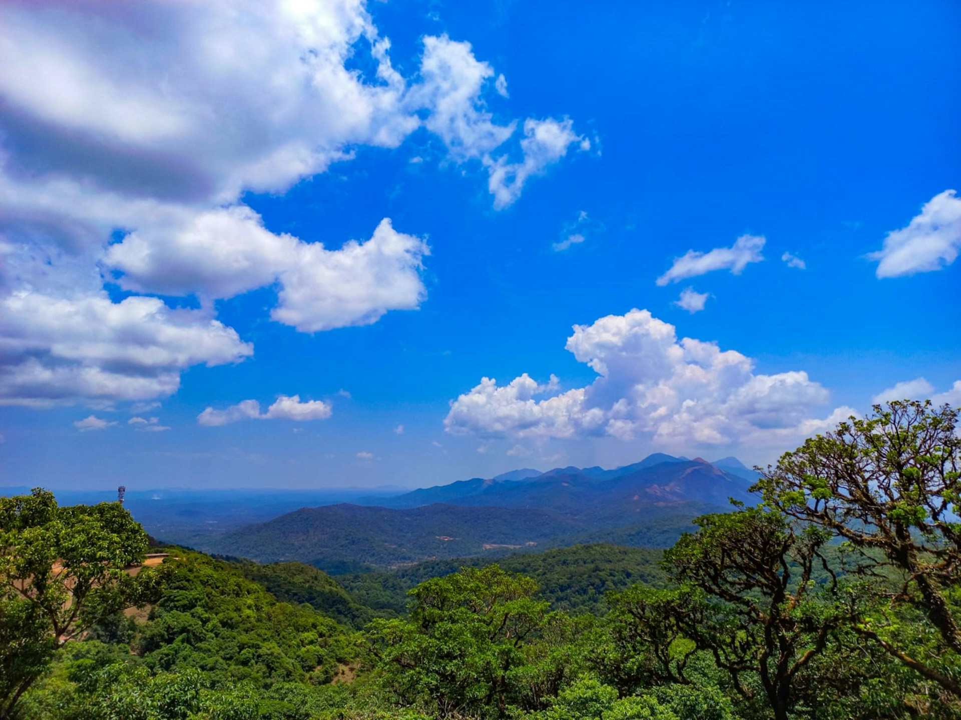 woman wearing yellow long-sleeved dress under white clouds and blue sky during daytime