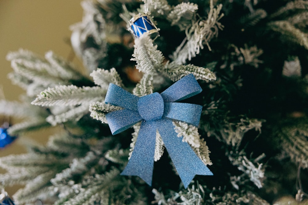 a close up of a blue bow on a christmas tree