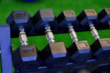 Close-up of a sturdy, high-quality dumbbell set with the Vitalis Pro logo.