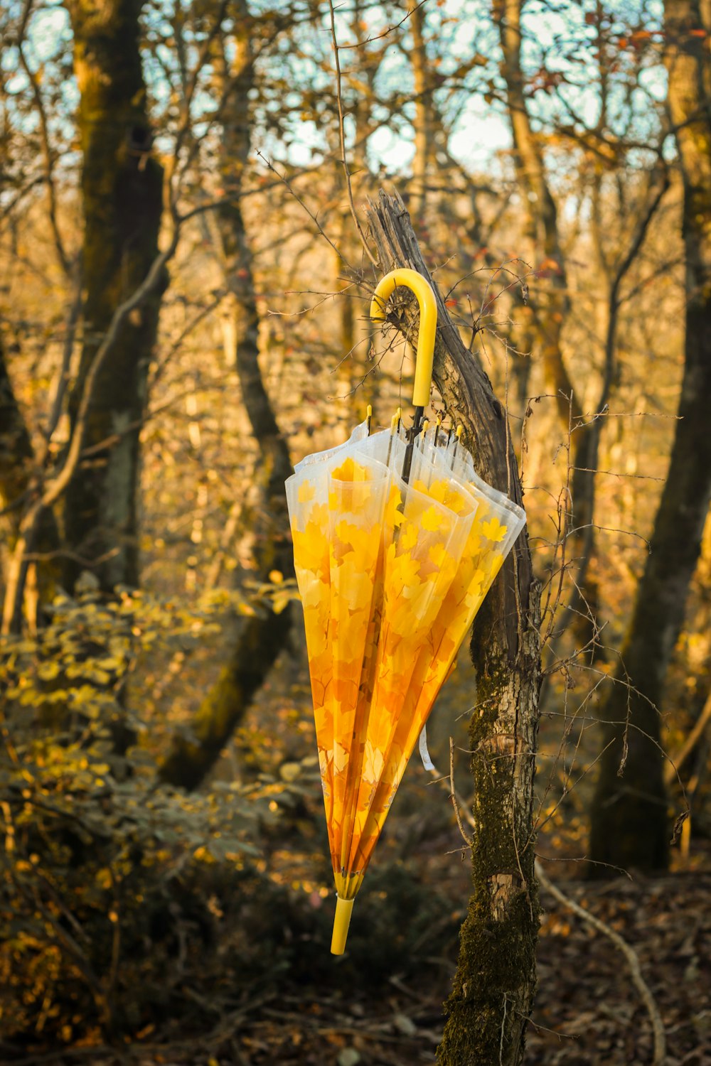 a yellow umbrella hanging from a tree in a forest