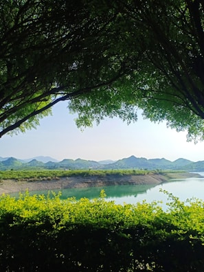 A scenic view from one of nimamirmoezi’s natural trips, capturing a peaceful lake surrounded by trees.