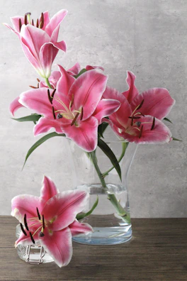 Delicate pink and white lilies arranged in a modern glass vase.