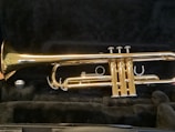 A shiny brass trumpet is placed in a black padded case. The instrument's bell, valves, and tubing are visible with the brass reflecting light, indicating that it is well-polished.
