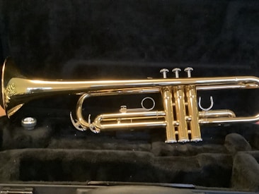 A shiny brass trumpet is placed in a black padded case. The instrument's bell, valves, and tubing are visible with the brass reflecting light, indicating that it is well-polished.