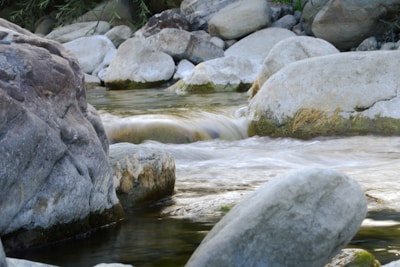 A serene creek with crystal-clear water flowing gently over smooth stones.
