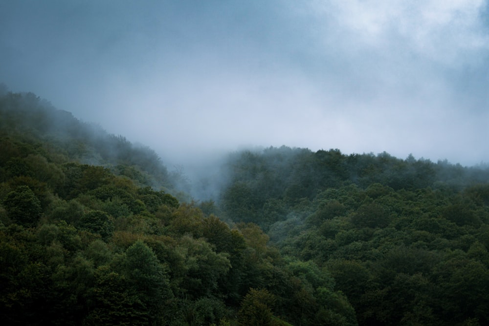 a mountain covered in fog and low lying clouds