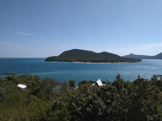 A scenic view of Mayotte's lush landscape with a clear blue lagoon.