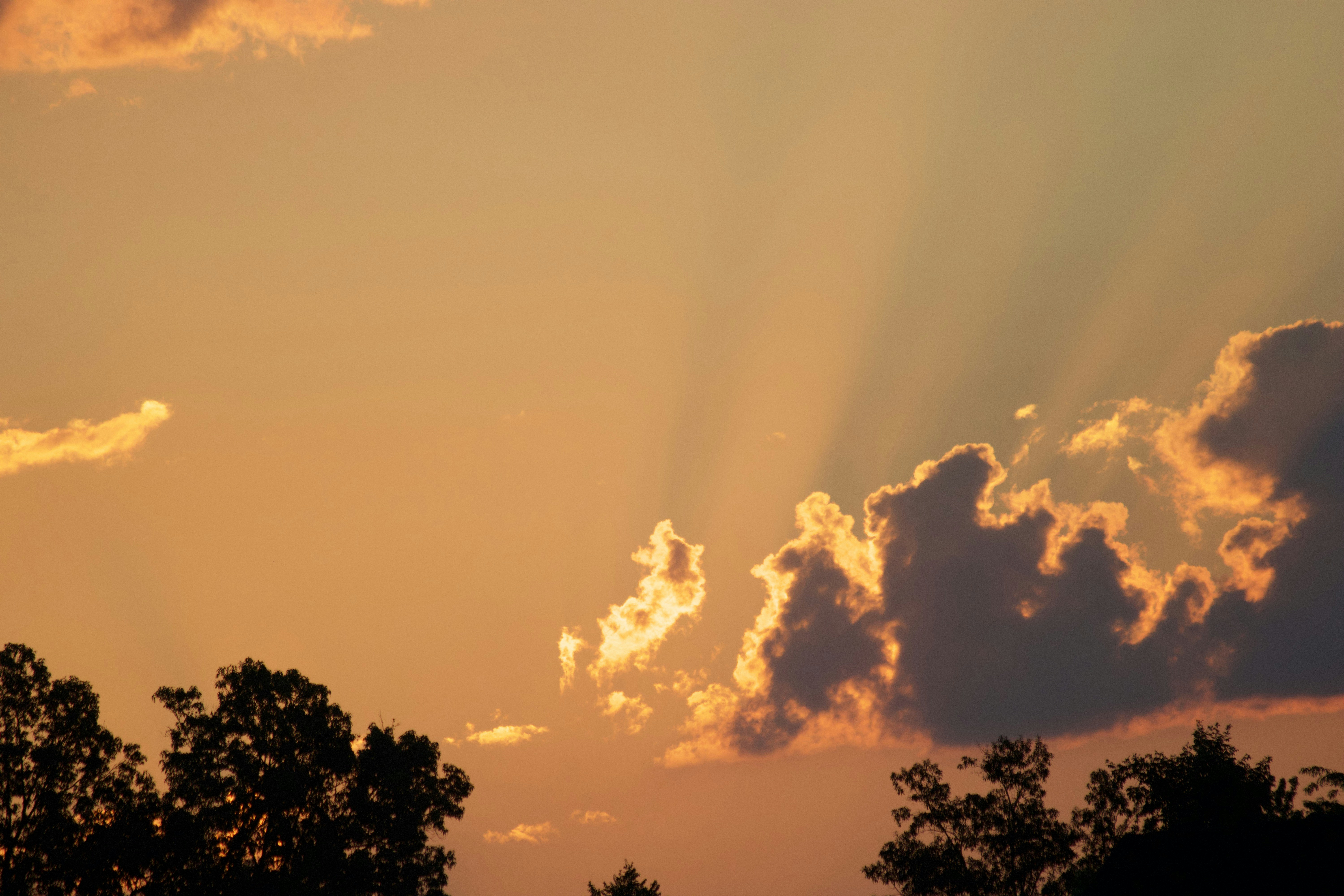 Photo by krazekatlady