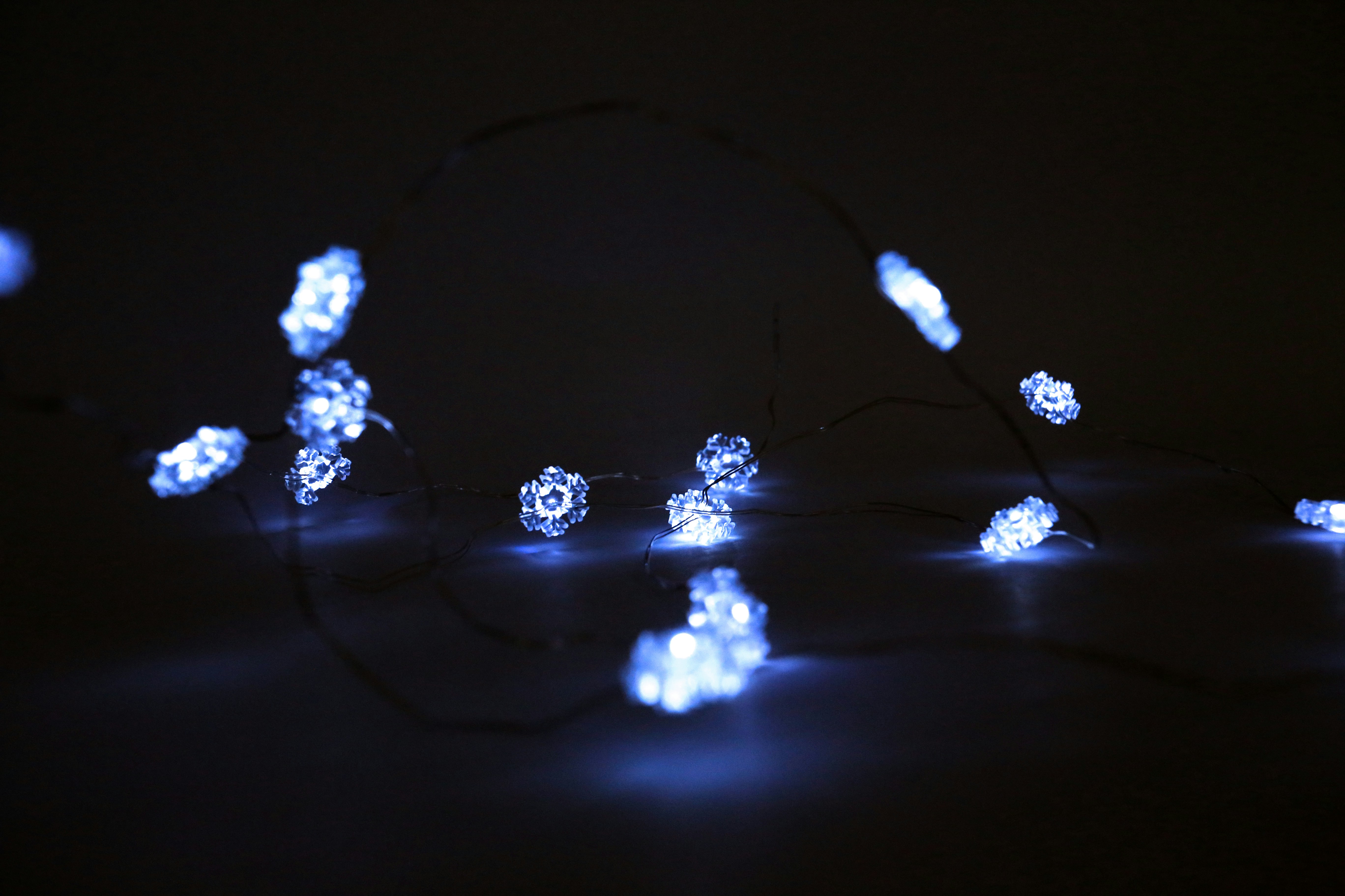 Photo by michelle_and_design