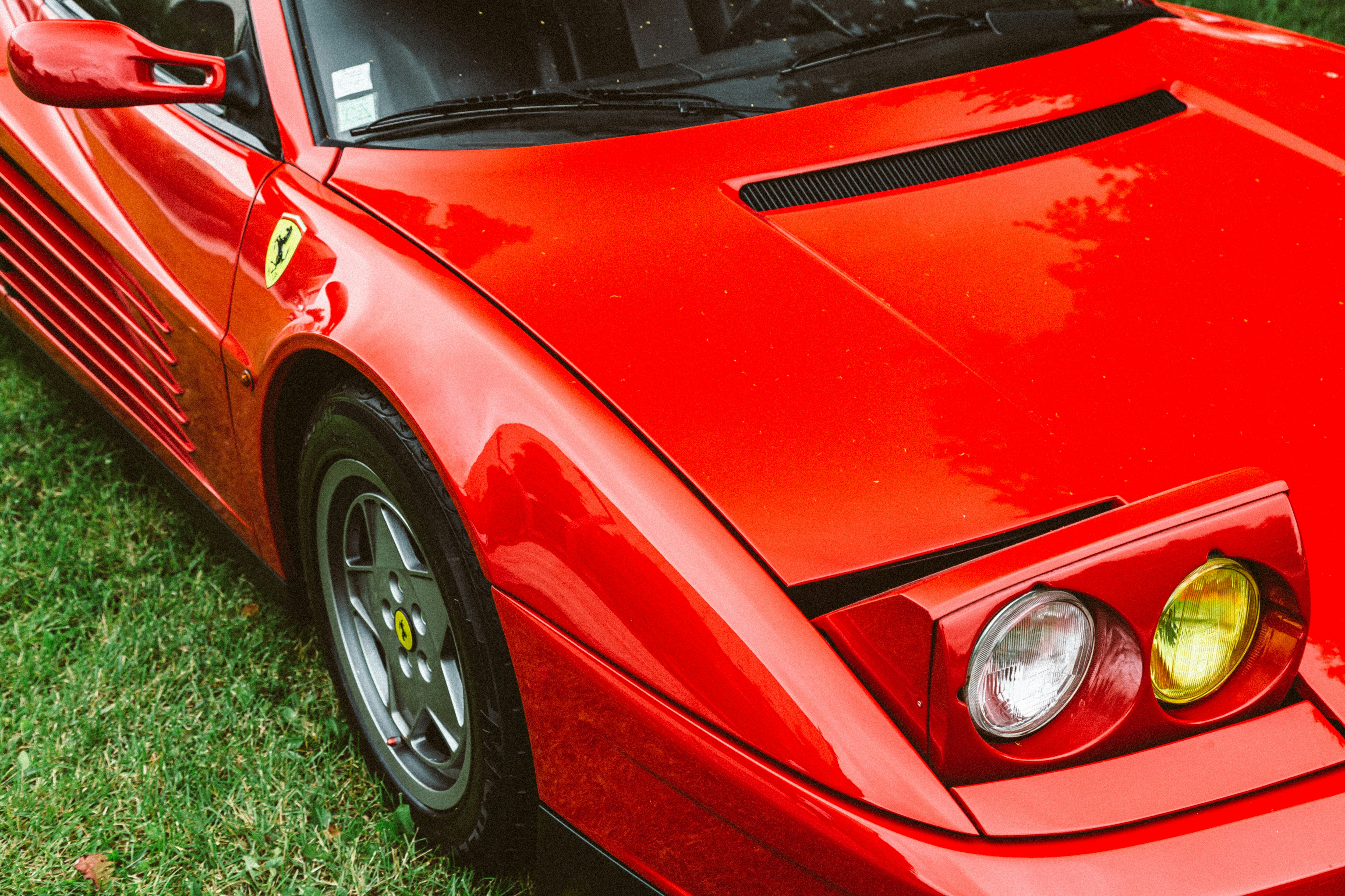 Photo by ksamvelovich