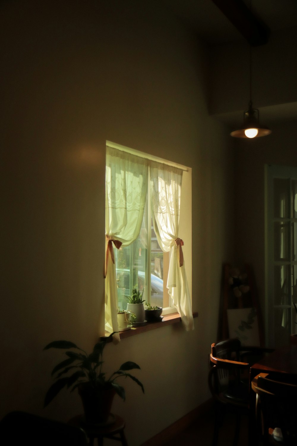 a room with a window and a potted plant