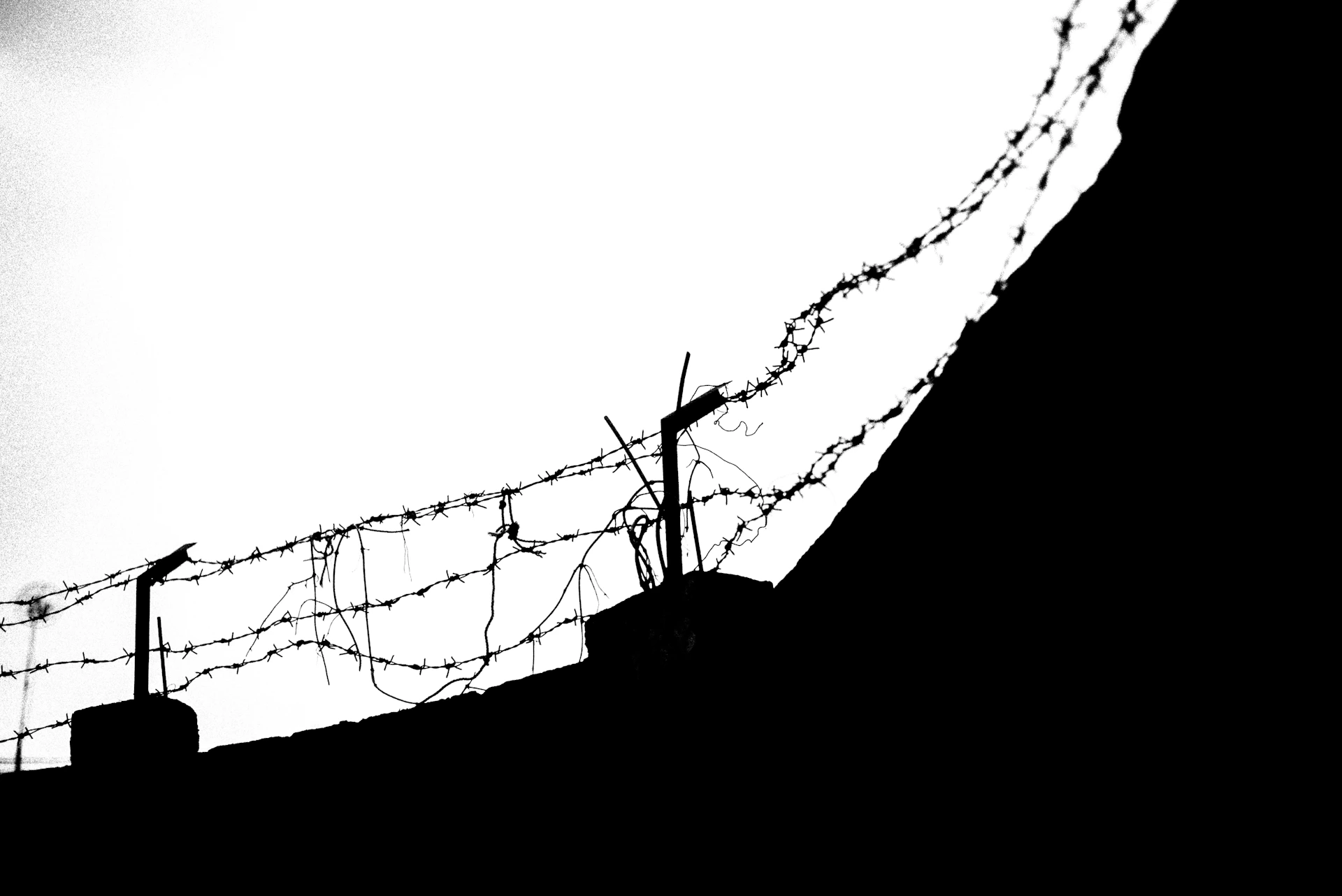 A bold, retro-inspired graphic of a pink prison jumpsuit hanging on a barbed wire fence under a moody sky.