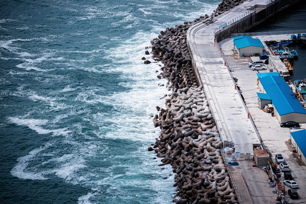 una gran bandada de leones marinos en el costado de un muelle