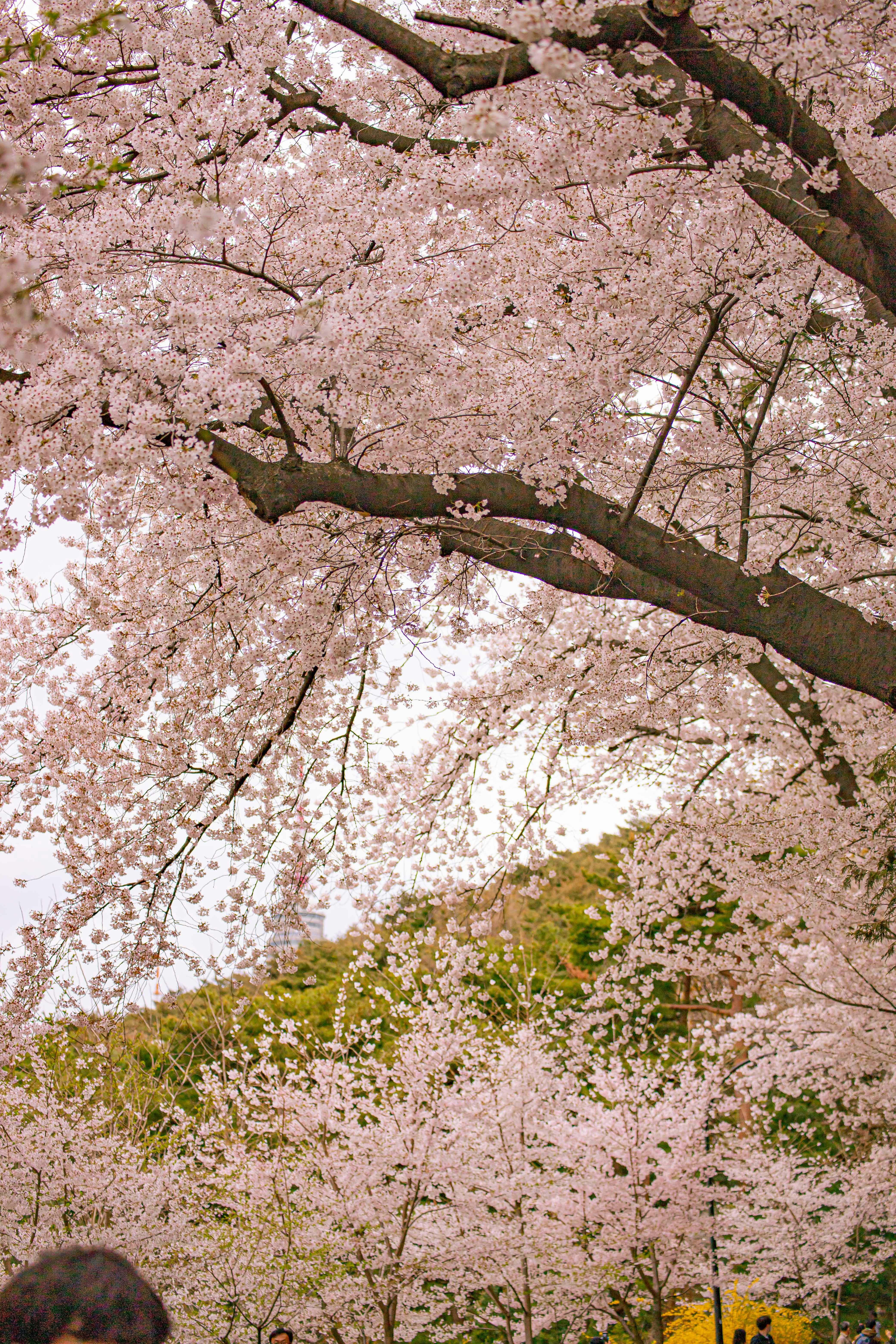 Photo by geonuk