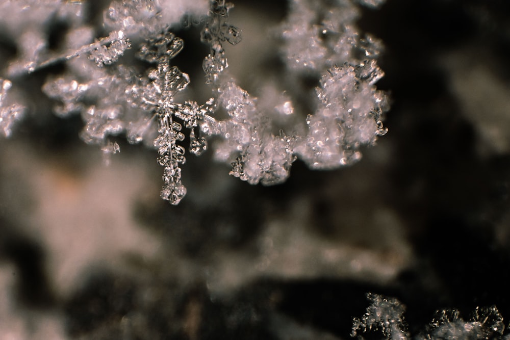 a close up of a bunch of ice crystals