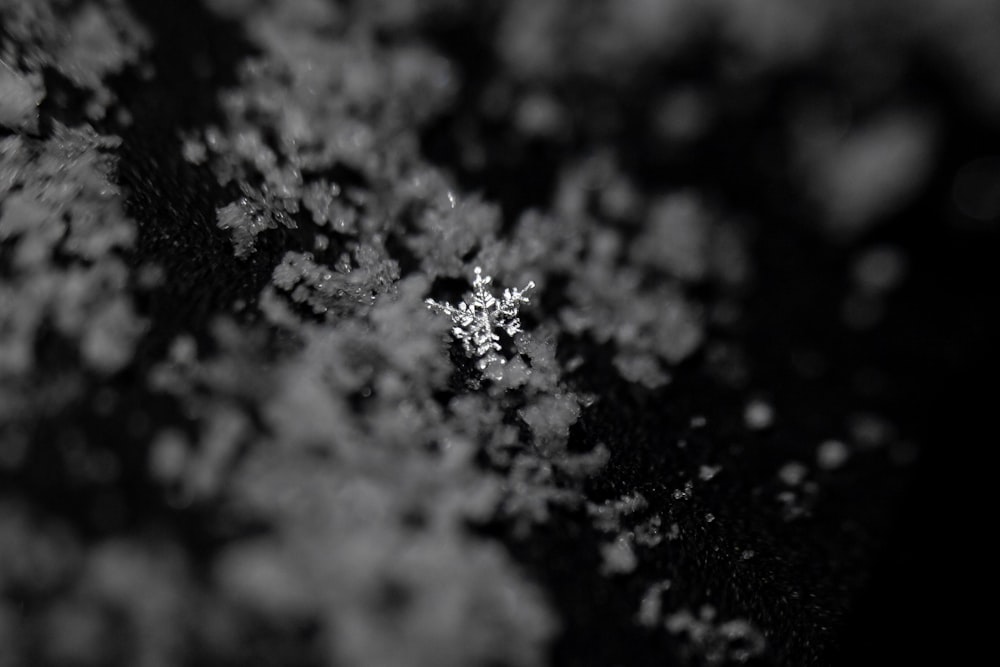a snowflake is seen in black and white