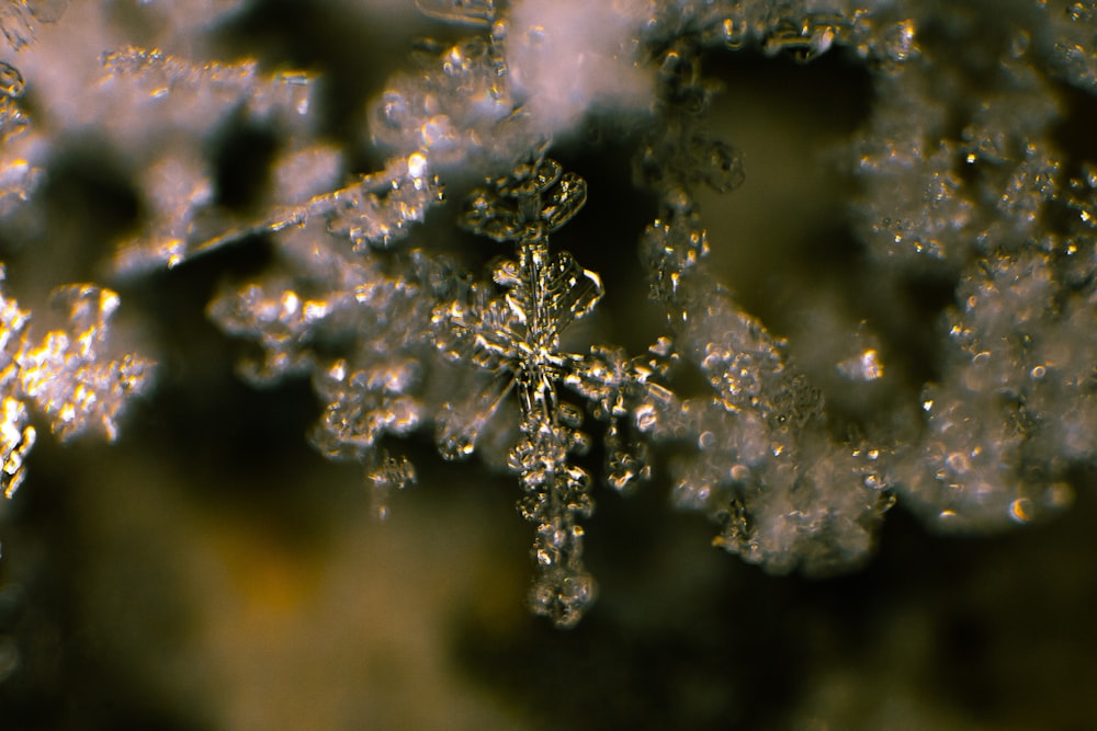 a close up view of a snowflake