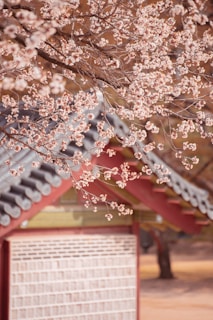 Korea