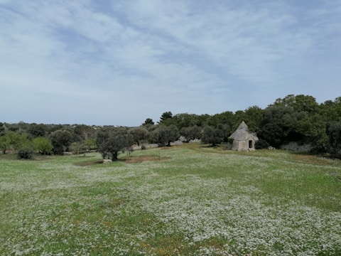 A breathtaking landscape of Apulia's countryside.