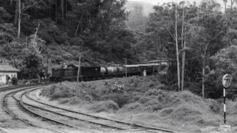 A vintage-style black-and-white image depicts a train traversing through a lush forest landscape. The train, consisting of multiple cars including tank cars, follows a curving railway track that cuts through dense foliage. Tall trees and a small building are visible near the tracks, adding to the rustic and nostalgic feel.