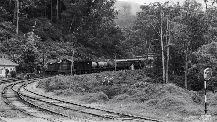 A vintage-style black-and-white image depicts a train traversing through a lush forest landscape. The train, consisting of multiple cars including tank cars, follows a curving railway track that cuts through dense foliage. Tall trees and a small building are visible near the tracks, adding to the rustic and nostalgic feel.