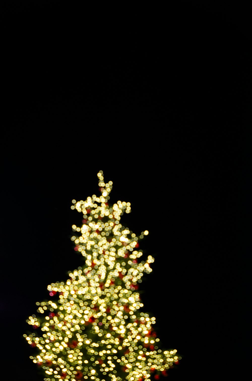 a lit up christmas tree in the dark