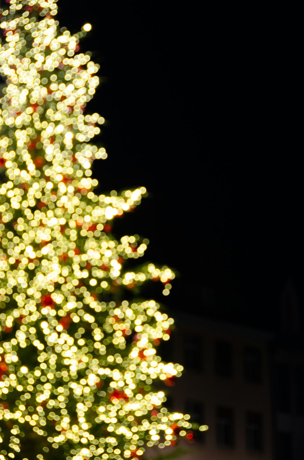 a lit christmas tree in front of a building