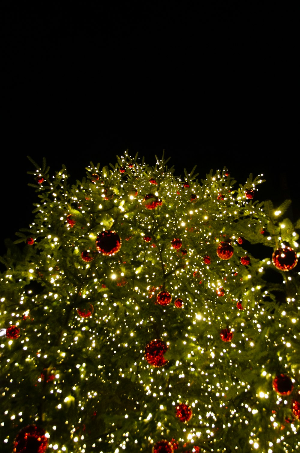 a large christmas tree is lit up at night