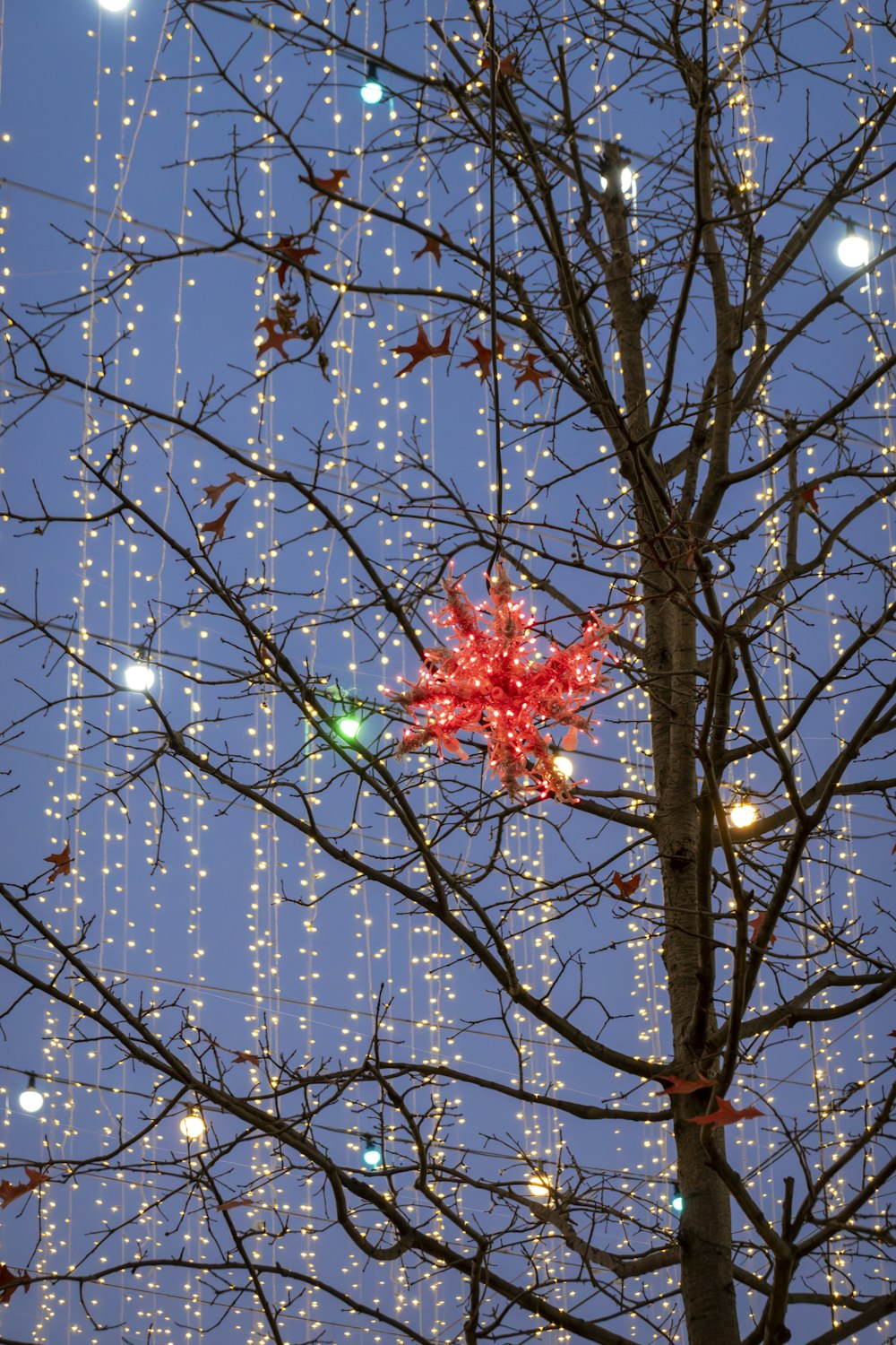 a tree with lights hanging from it's branches