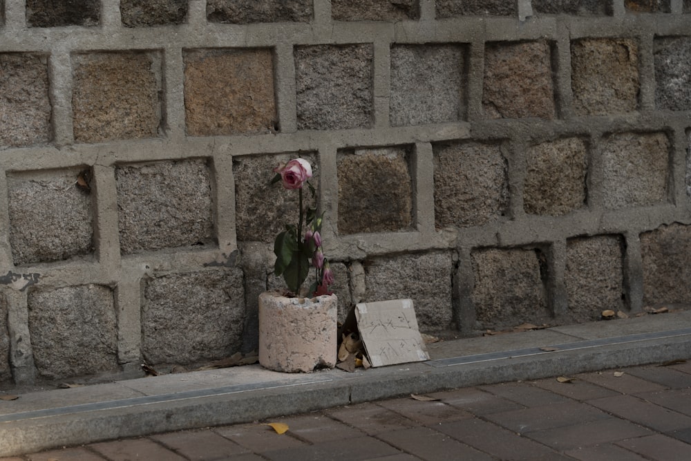 a flower in a pot next to a brick wall