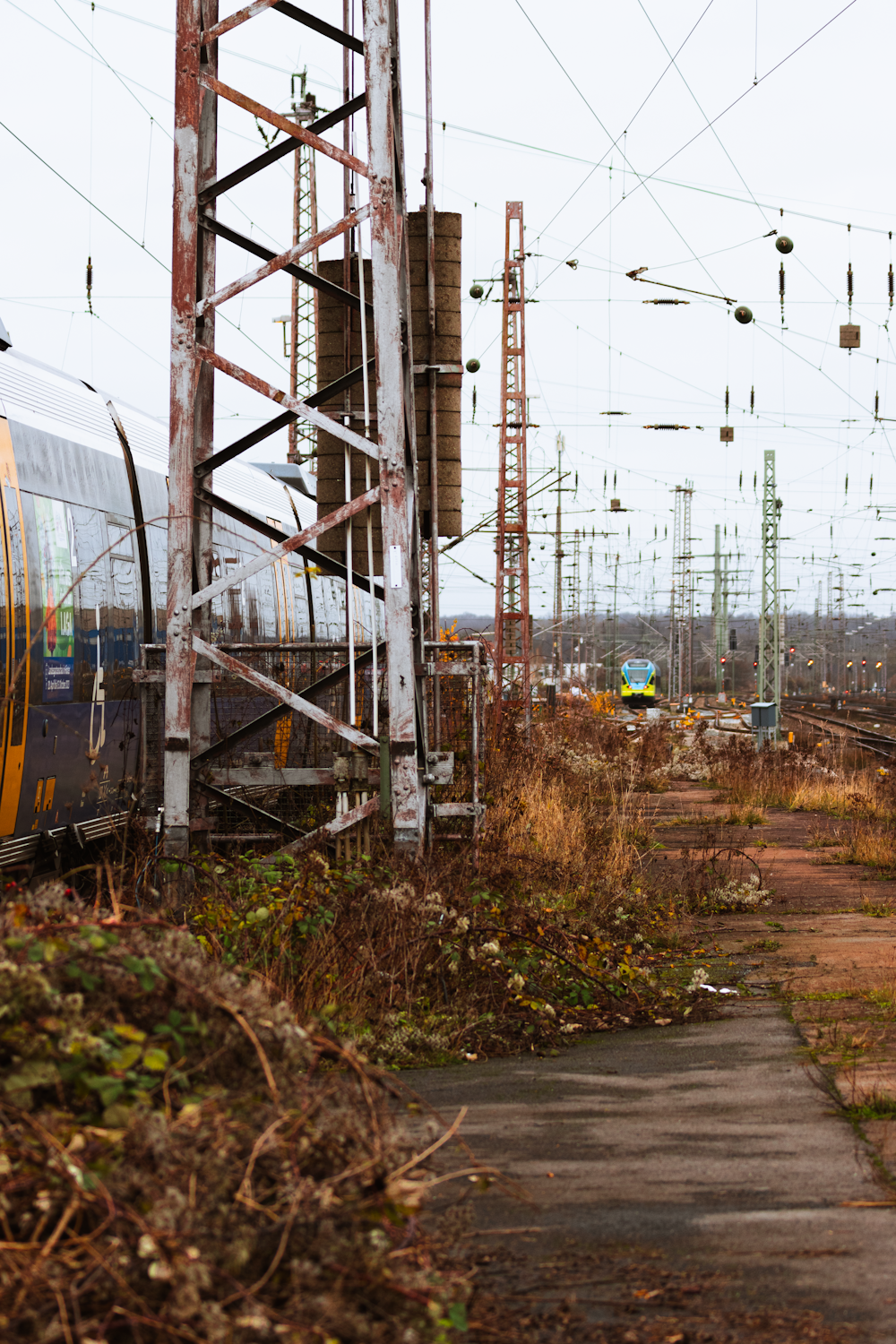 a train traveling down tracks next to a forest