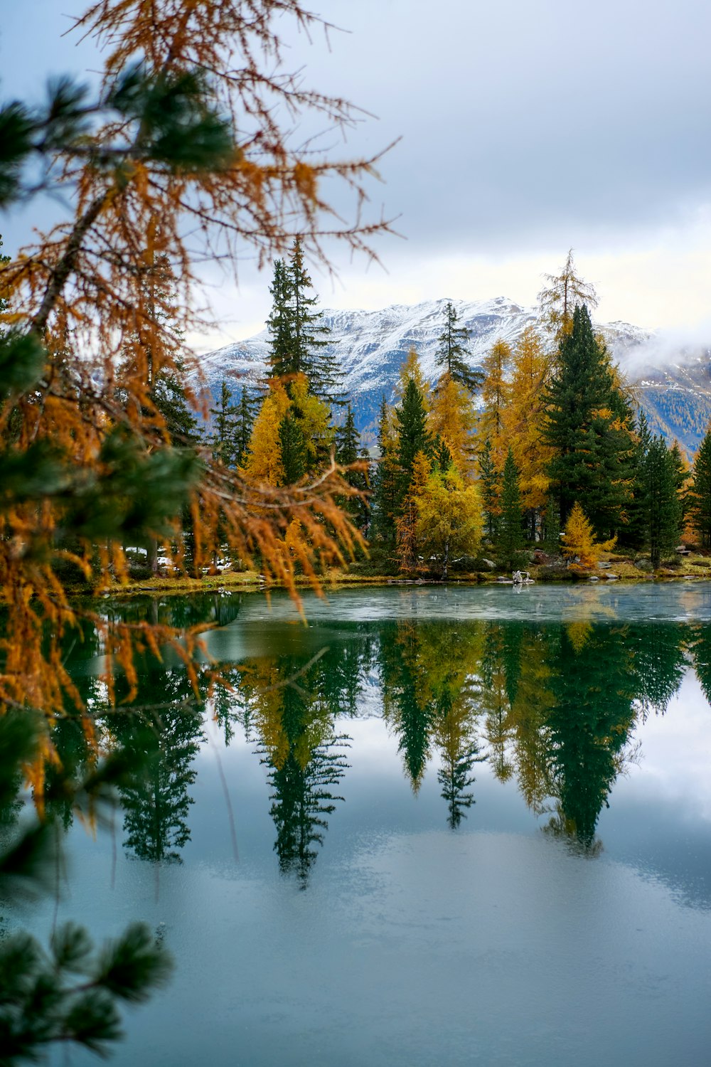 a body of water surrounded by trees and mountains