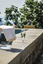 A chilled champagne bottle resting in an ice bucket with condensation droplets.