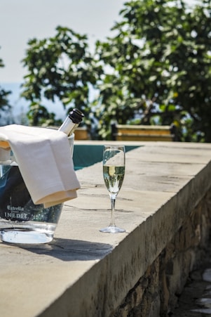 A chilled champagne bottle resting in an ice bucket with condensation droplets.