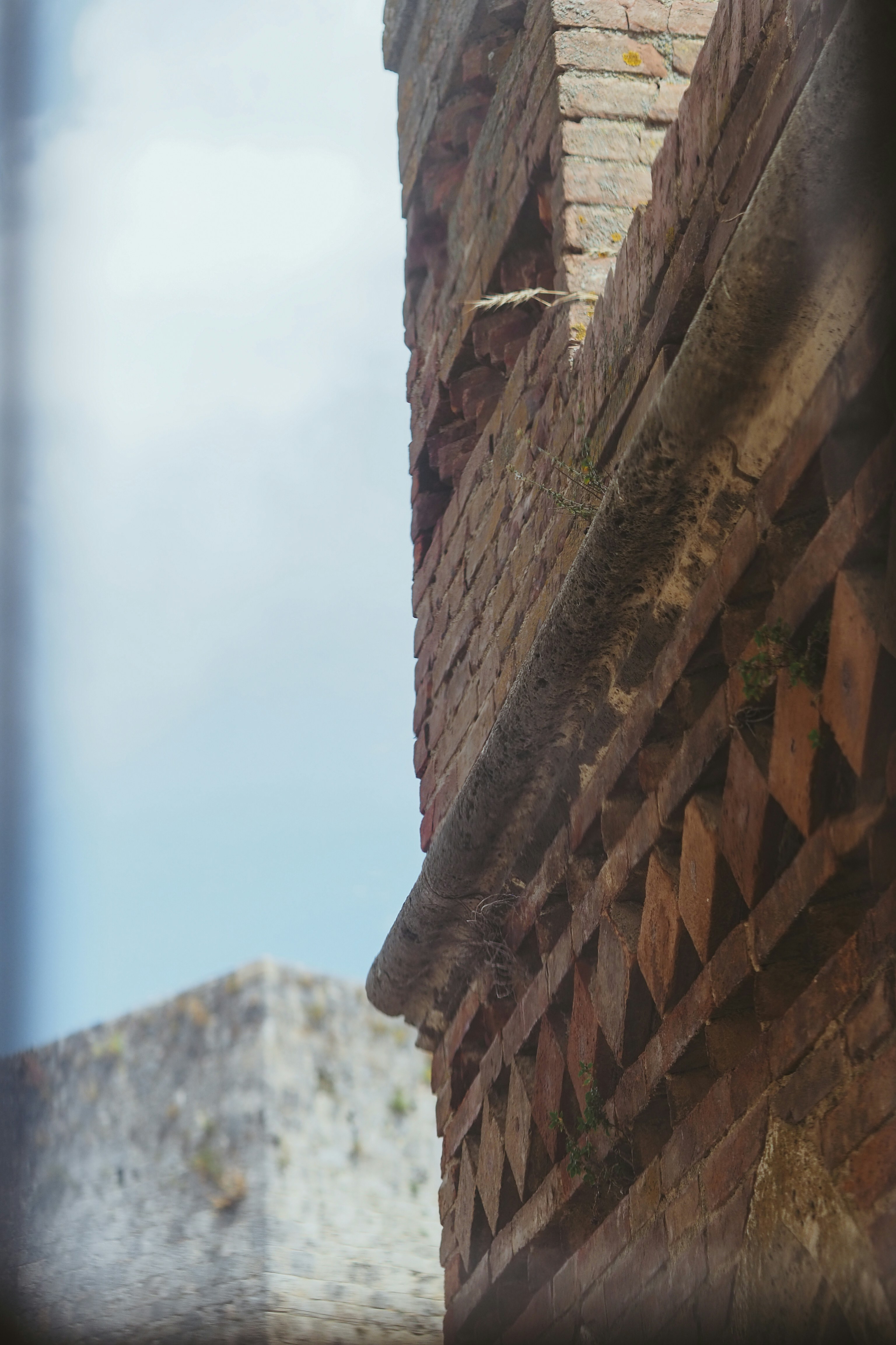 Photo by laurachouette