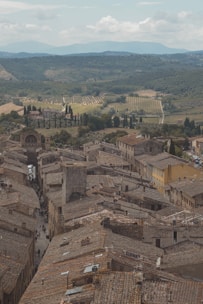 A view of a historic town with old, stone buildings and clay-tiled roofs. Narrow streets wind through the town, surrounded by a landscape of vineyards and rolling hills. In the distance, the lush greenery of trees and fields stretches towards a mountainous horizon under a partly cloudy sky.
