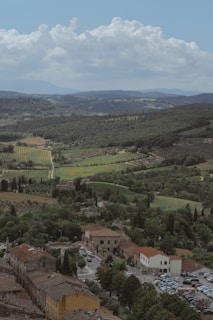 A picturesque landscape featuring a small town with rustic buildings, surrounded by lush greenery and vineyards. Rolling hills stretch into the distance under a vast sky with fluffy clouds.