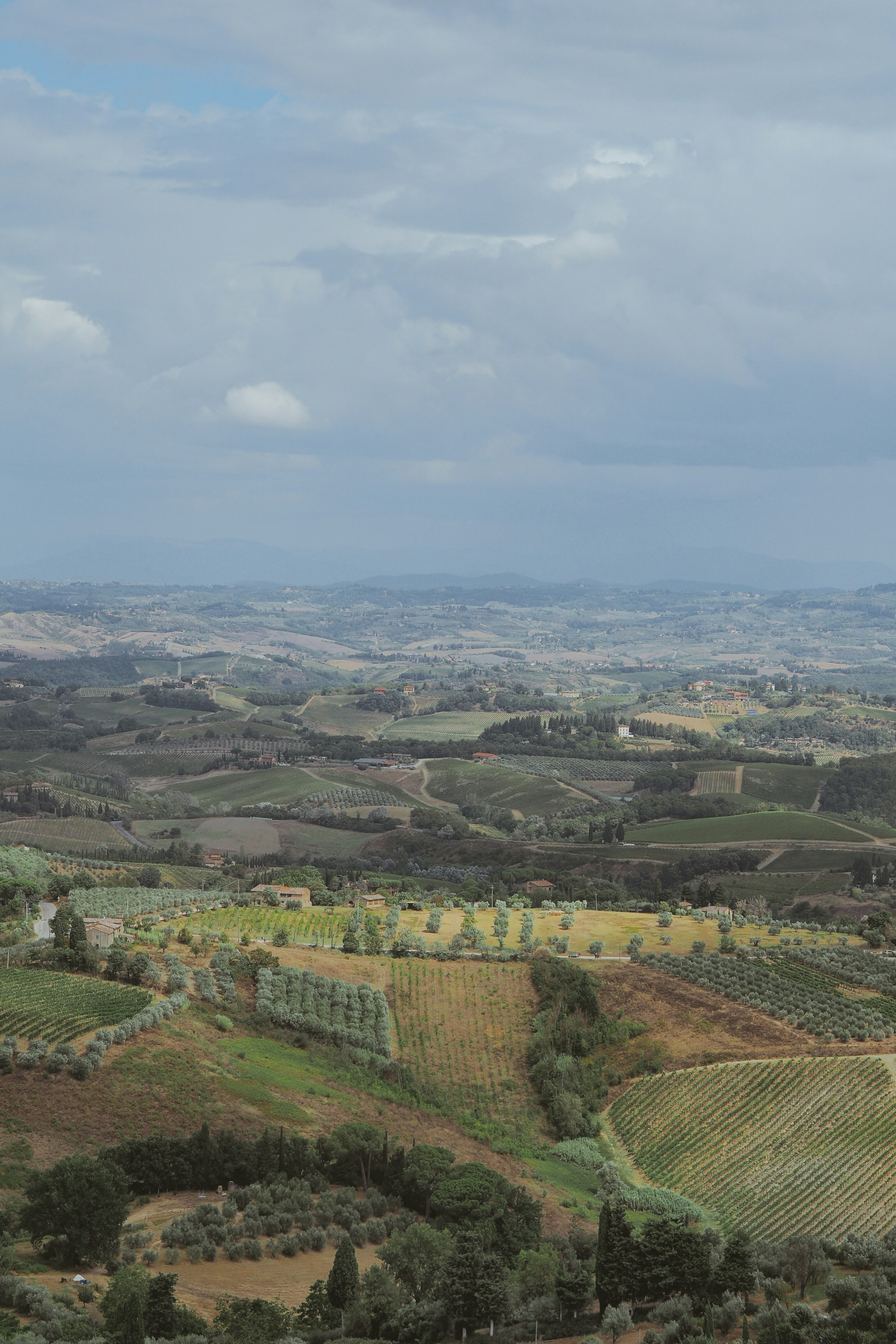 Photo by laurachouette