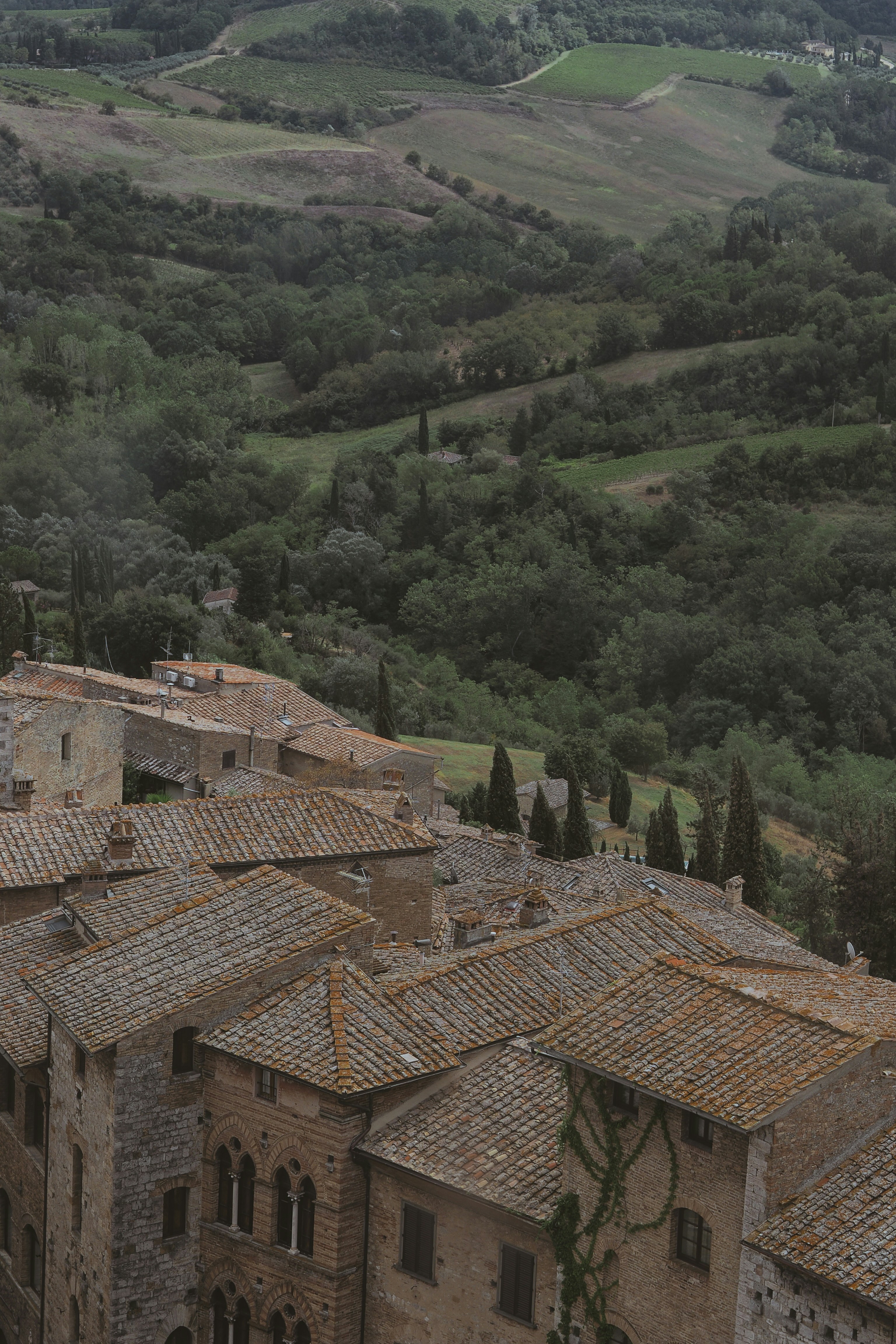 Photo by laurachouette