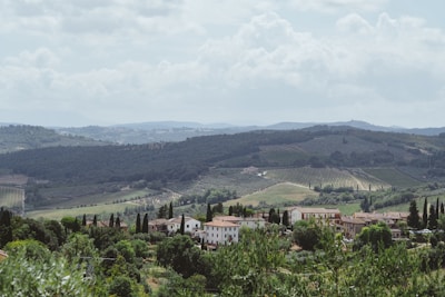 A picturesque rural landscape featuring rolling hills covered in lush green vegetation and vineyards. In the foreground, a quaint village with rustic buildings nestled among tall cypress trees. Soft, cloudy skies stretch across the horizon.