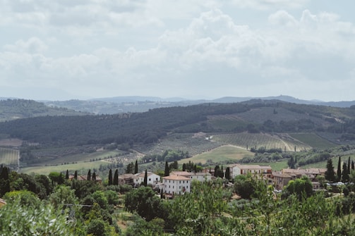 A peaceful vineyard landscape in Tuscany during golden hour with rolling hills and cypress trees.